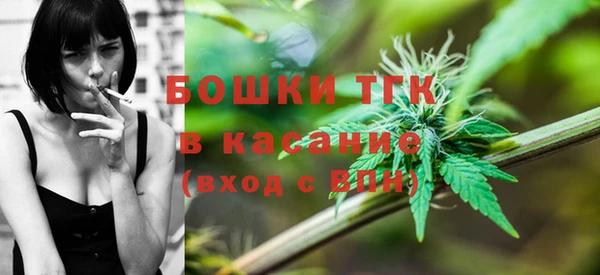 эйфоретик Арсеньев