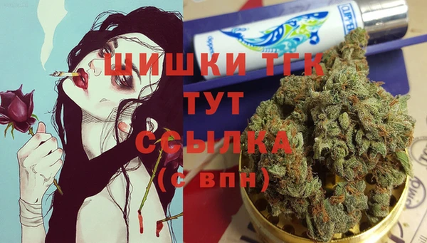 эйфоретик Арсеньев