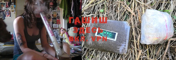 эйфоретик Арсеньев