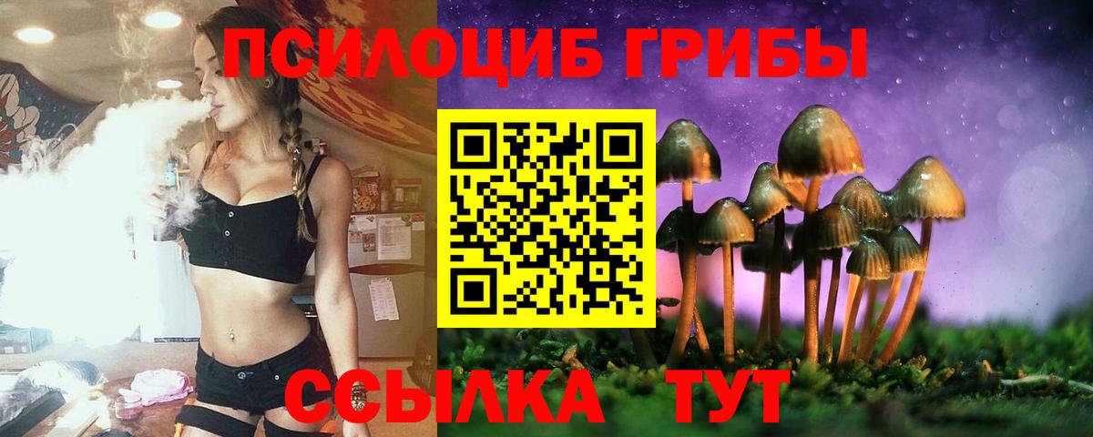 Галлюциногенные грибы Magic Shrooms  где продают   Вход с VPN  Новый Уренгой  Галлюциногенные грибы MAGIC MUSHROOMS 