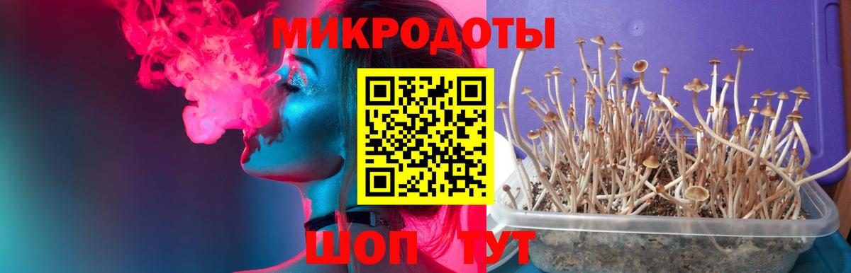 Галлюциногенные грибы Cubensis Новый Уренгой