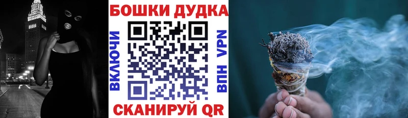 цены наркотик  Новый Уренгой  Конопля сатива 